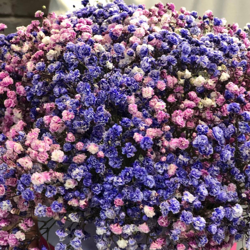 Букет цветов «Гипсофила фиолетовая в коробке» - фото 2