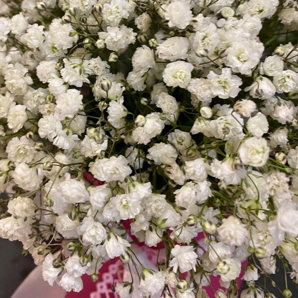 Букет цветов «Белая гипсофила в коробке» - фото 3
